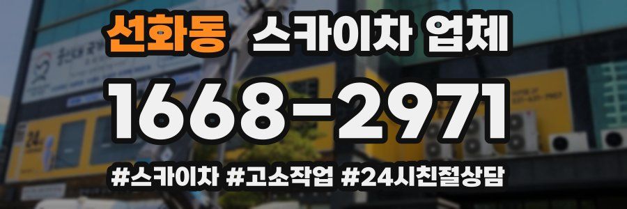 선화동 스카이차 업체
