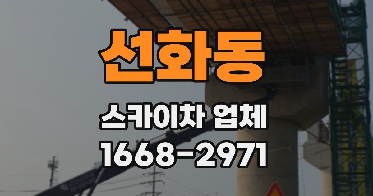 선화동 스카이차 업체
