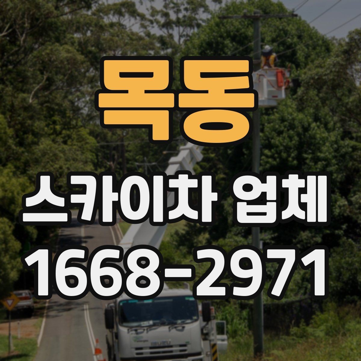 목동 스카이차 업체 이용 지역별 특징과 문의 팁