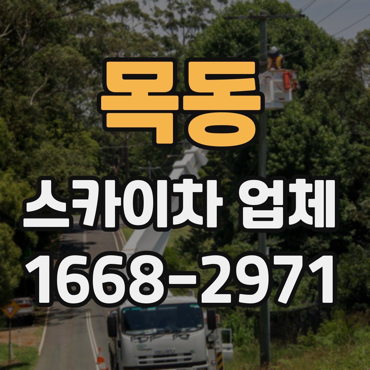목동 스카이차 업체
