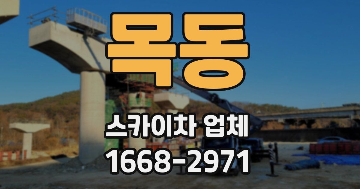 목동 스카이차 업체
