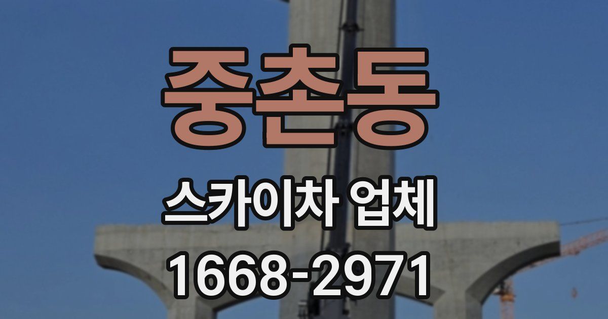 중촌동 스카이차 업체
