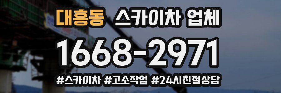 대흥동 스카이차 업체