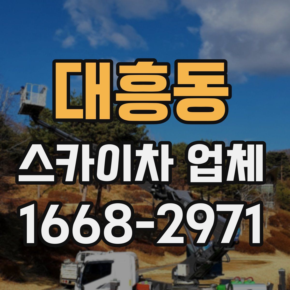 대흥동 스카이차 업체