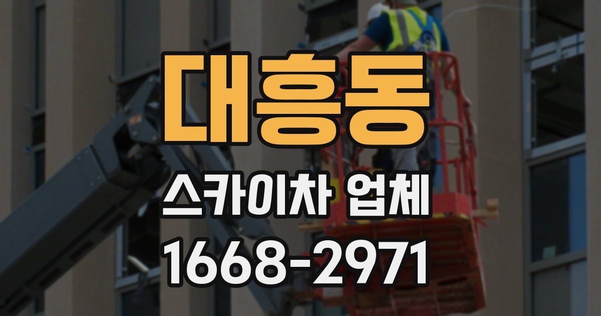 대흥동 스카이차 업체