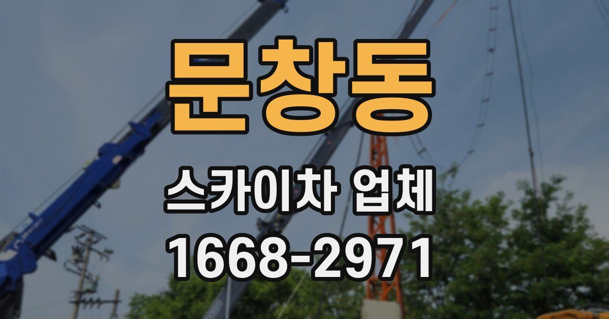 문창동 스카이차 업체