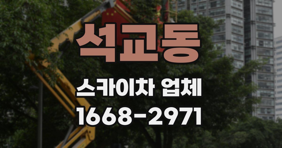 석교동 스카이차 업체