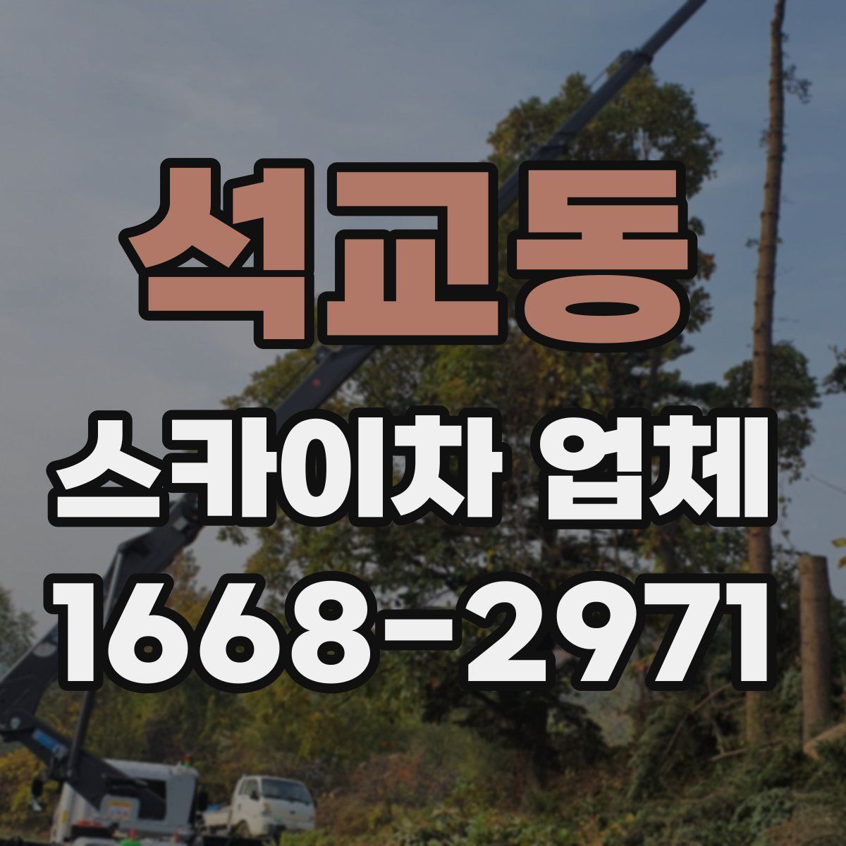석교동 스카이차 업체