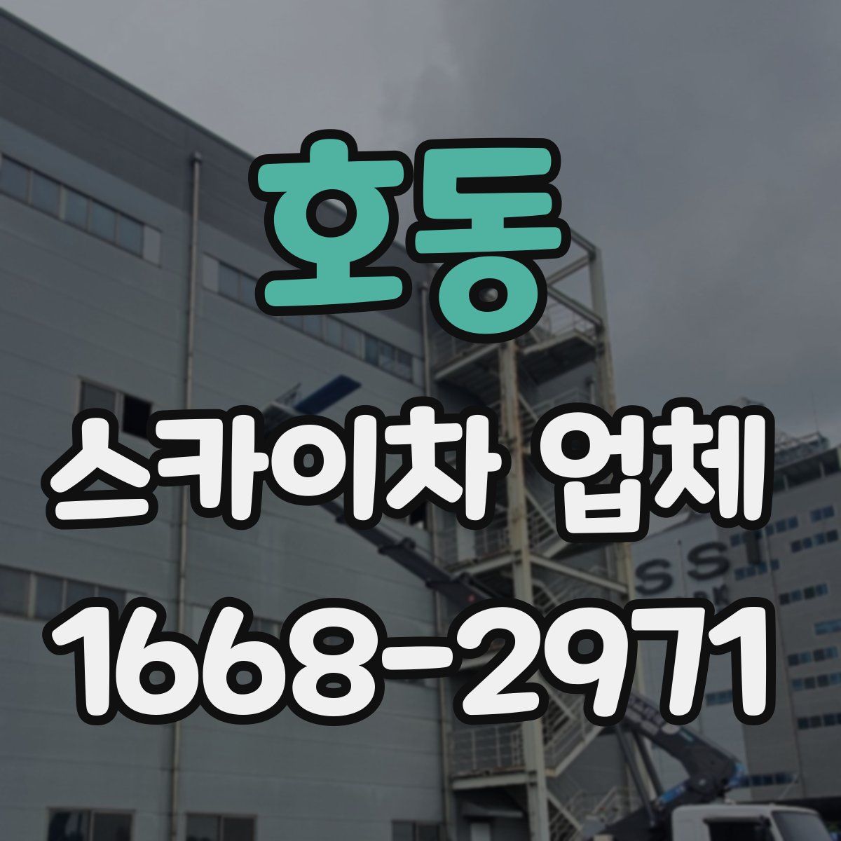 호동 스카이차 업체
