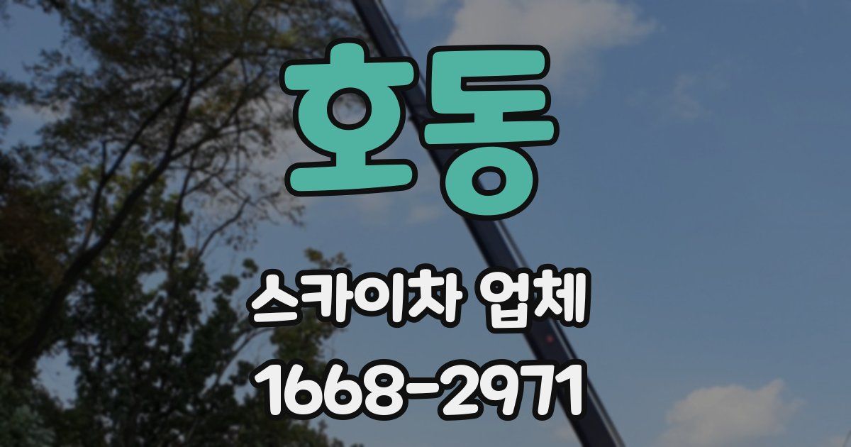 호동 스카이차 업체