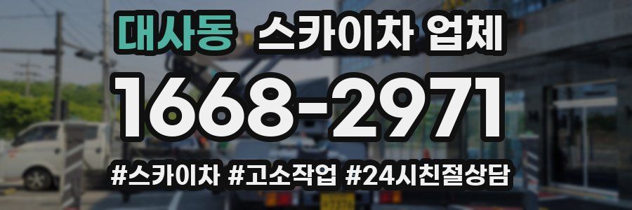 대사동 스카이차 업체