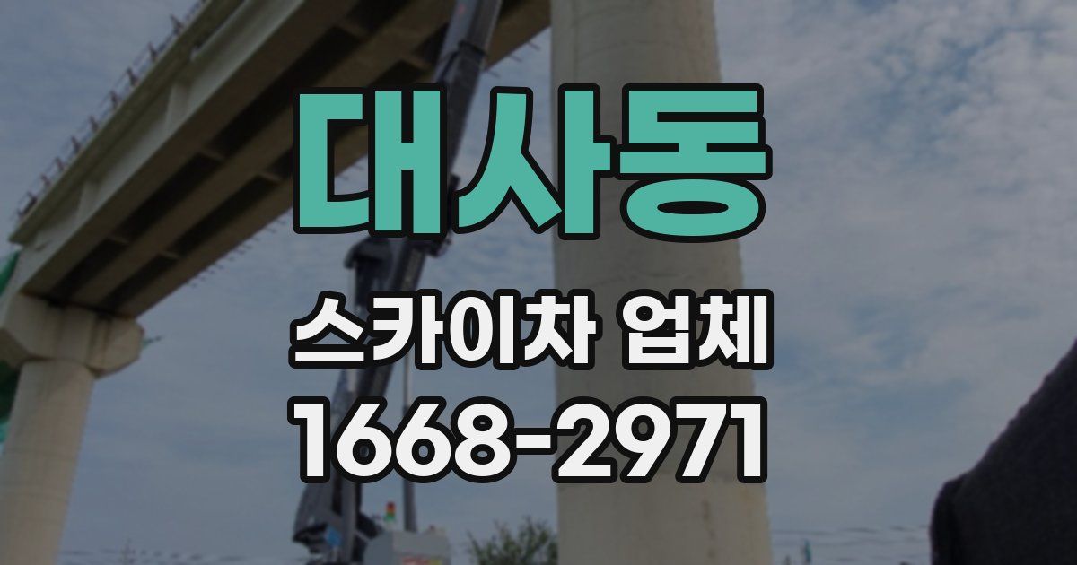대사동 스카이차 업체