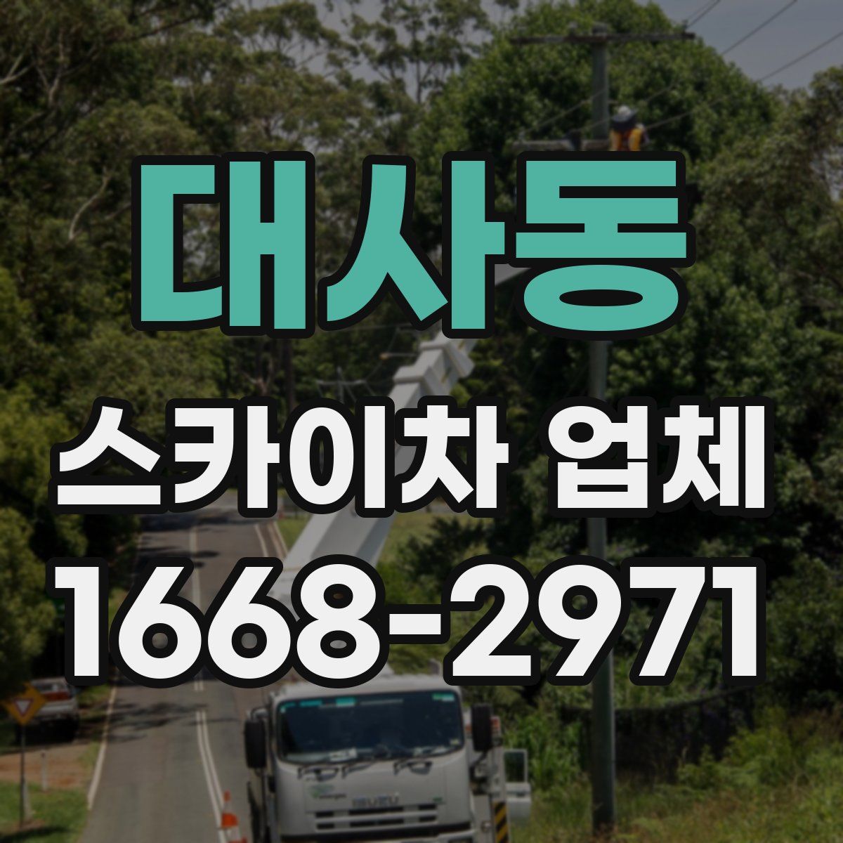 대사동 스카이차 업체