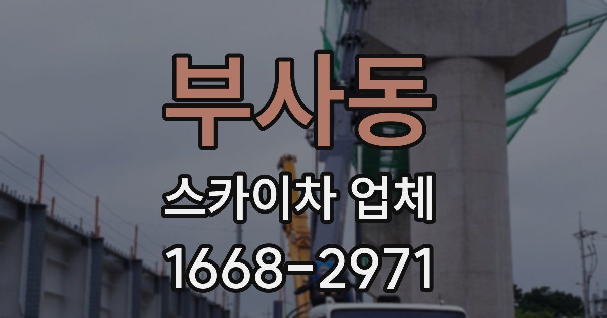 부사동 스카이차 업체