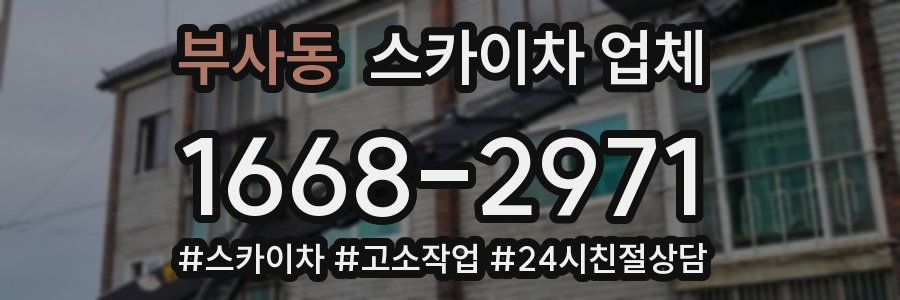 부사동 스카이차 업체