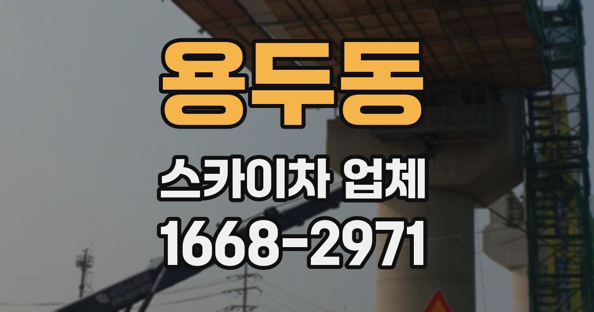 용두동 스카이차 업체
