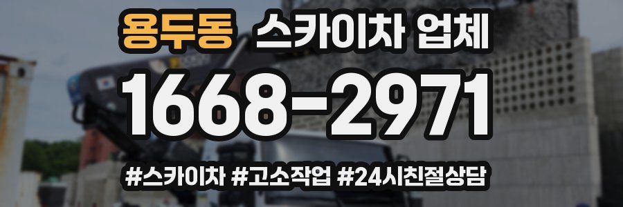 용두동 스카이차 업체