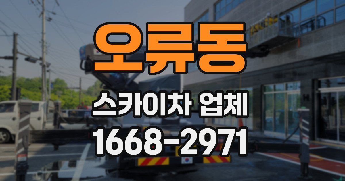 오류동 스카이차 업체