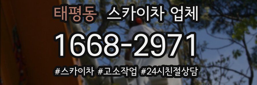 태평동 스카이차 업체