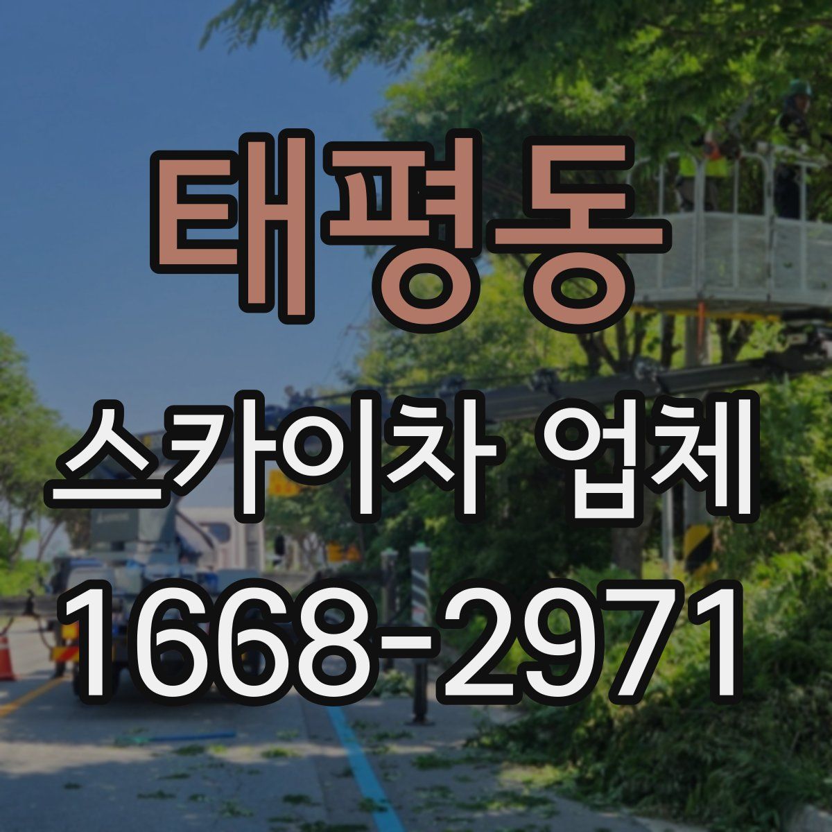 태평동 스카이차 업체