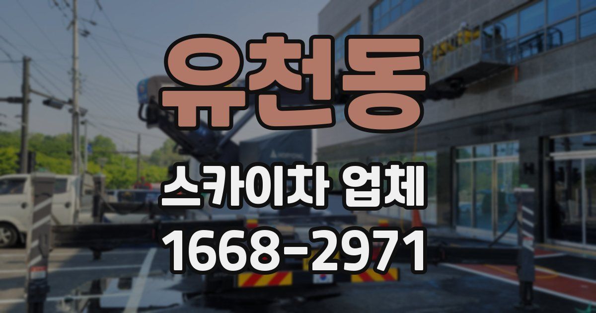 유천동 스카이차 업체