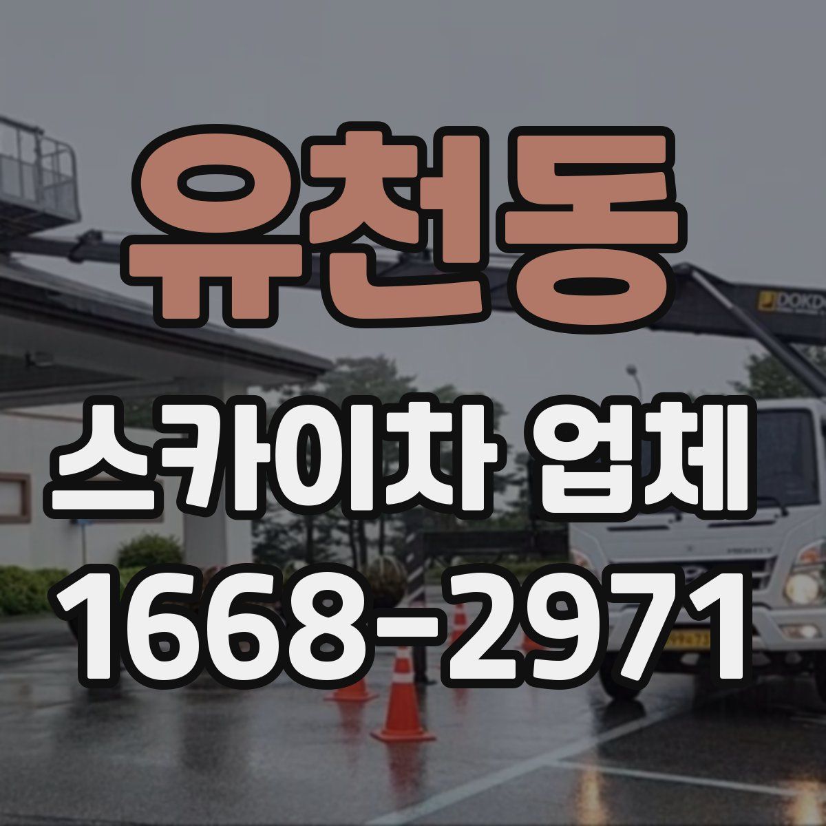 유천동 스카이차 업체