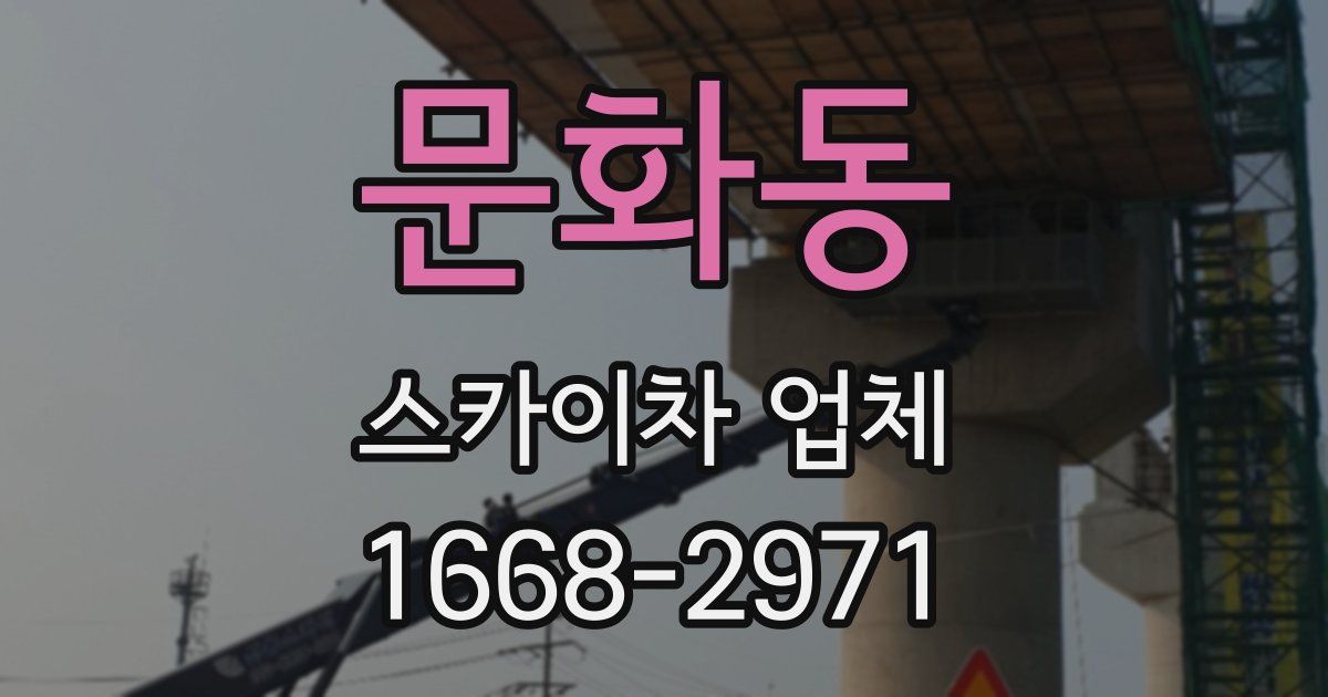 문화동 스카이차 업체