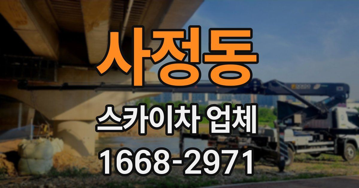 사정동 스카이차 업체