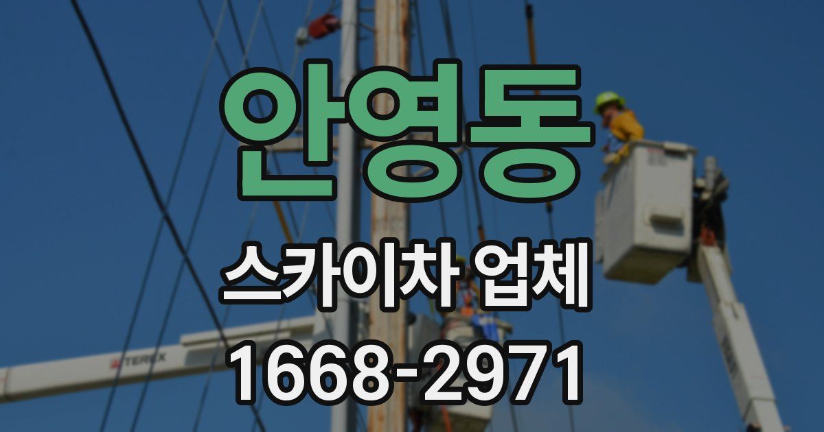 안영동 스카이차 업체