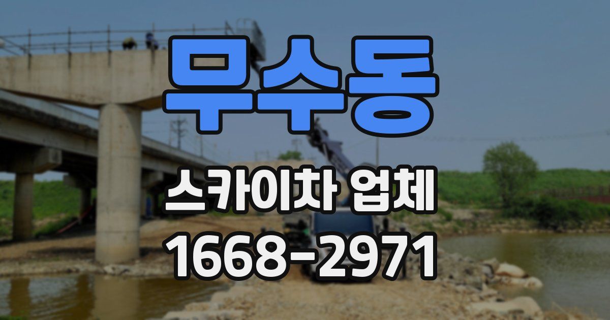 무수동 스카이차 업체