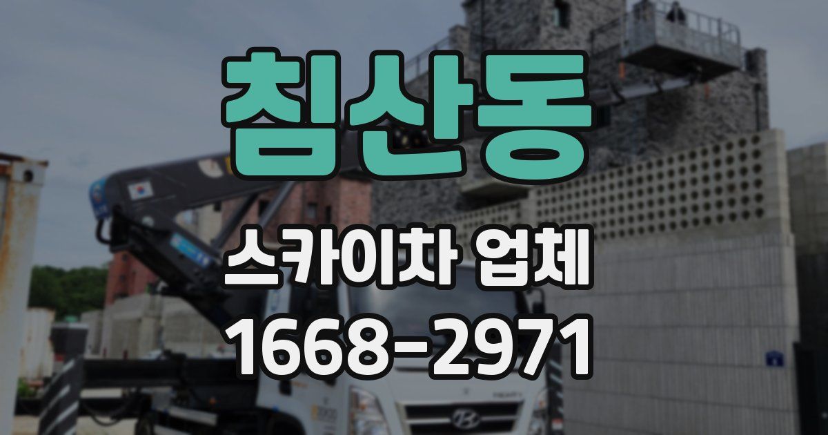 침산동 스카이차 업체