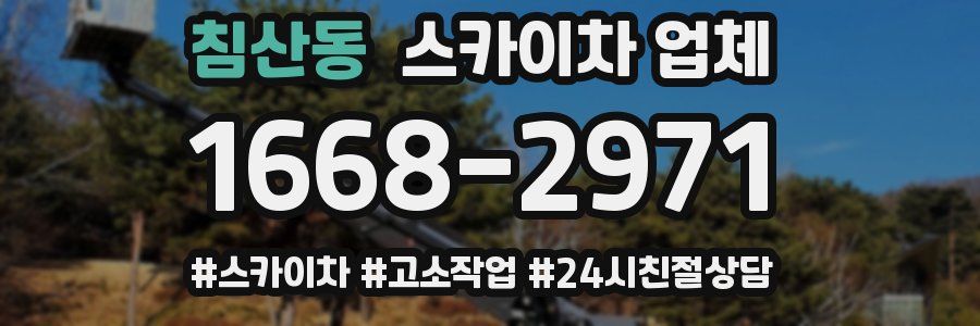 침산동 스카이차 업체