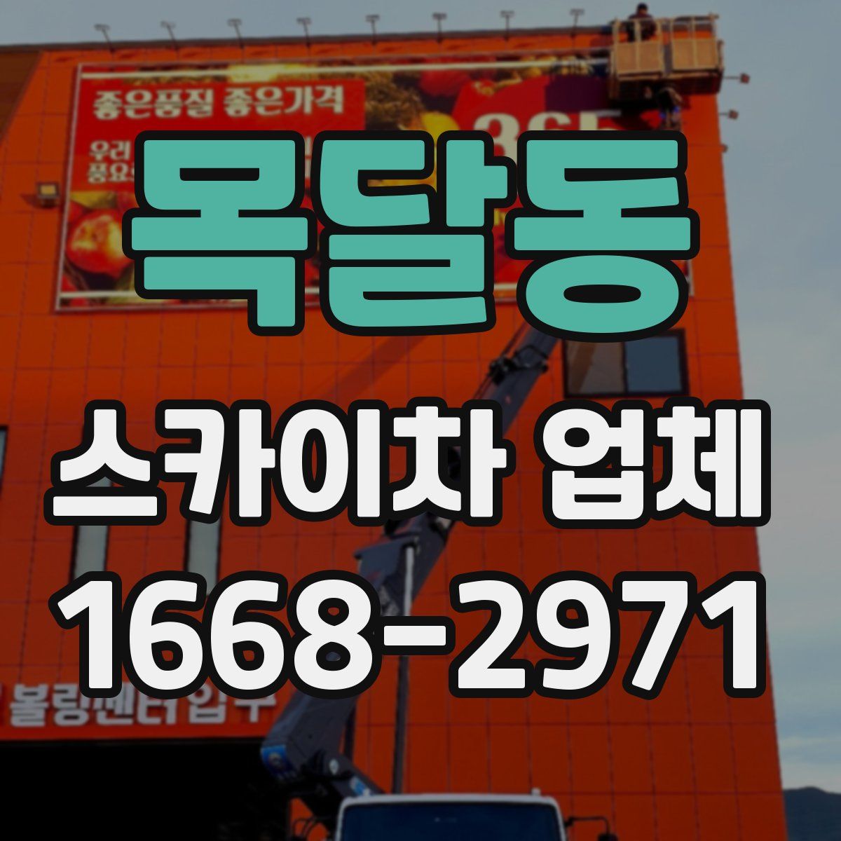 목달동 스카이차 업체