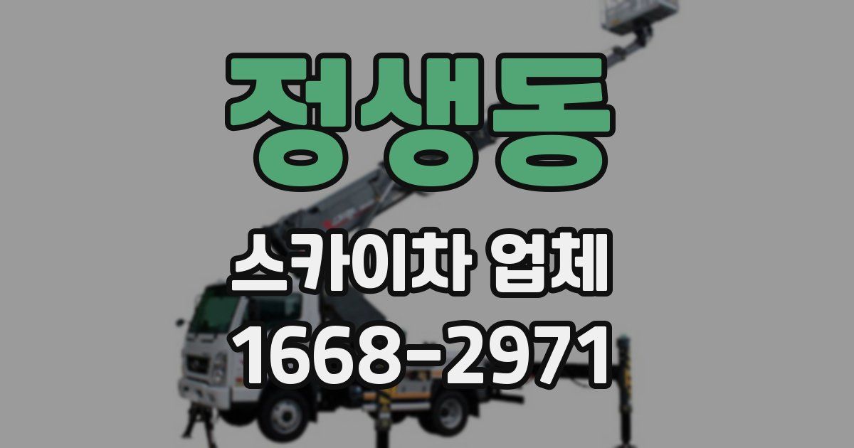 정생동 스카이차 업체