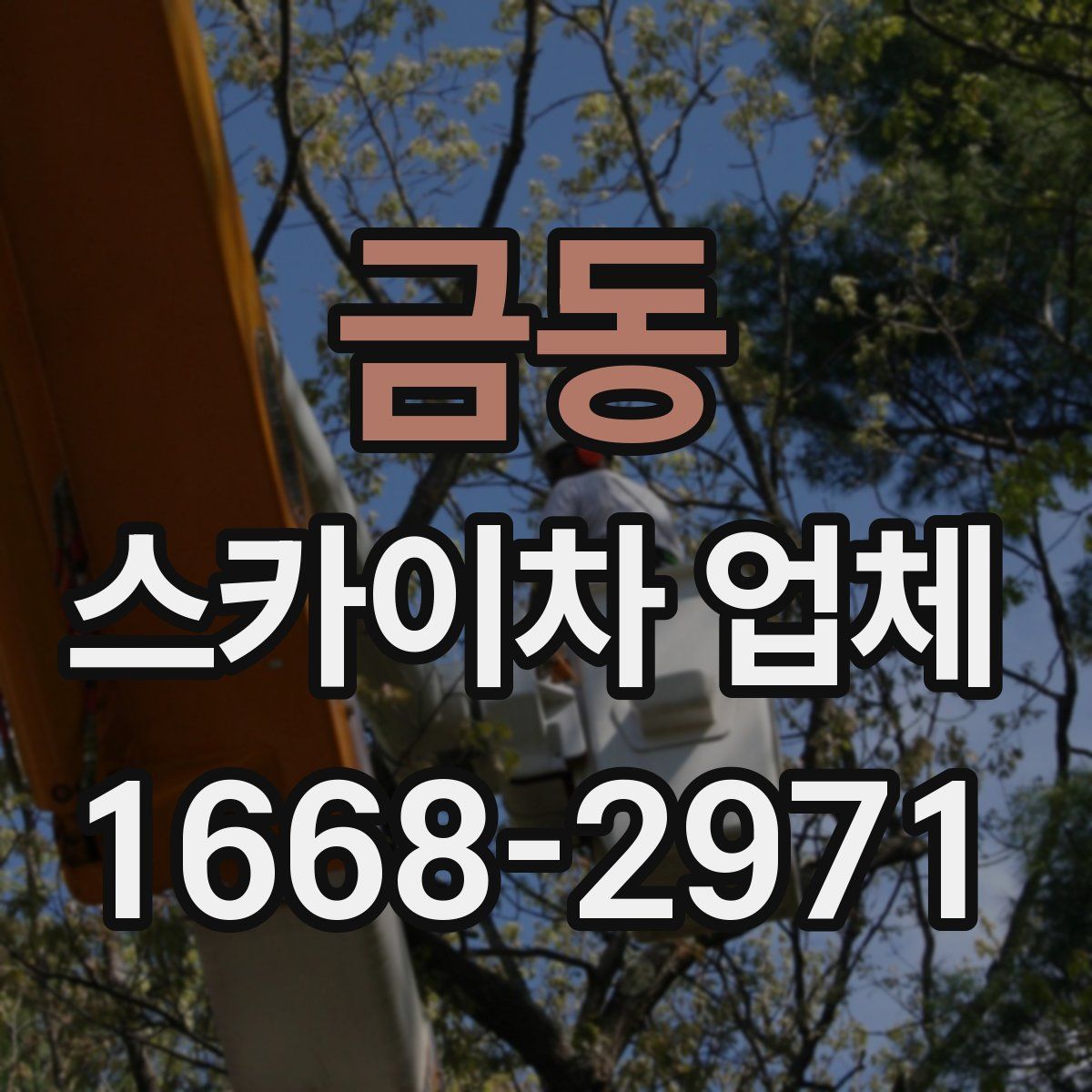 금동 스카이차 업체