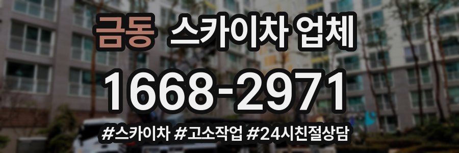 금동 스카이차 업체