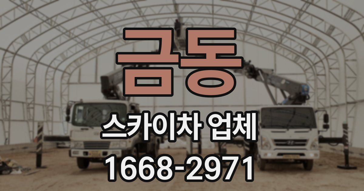 금동 스카이차 업체