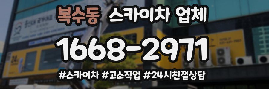 복수동 스카이차 업체
