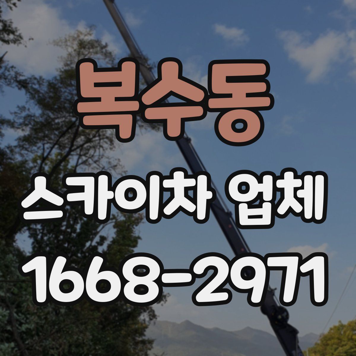복수동 스카이차 업체