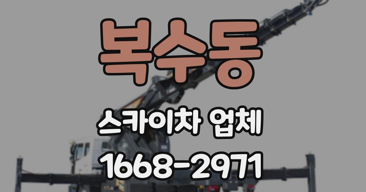 복수동 스카이차 업체