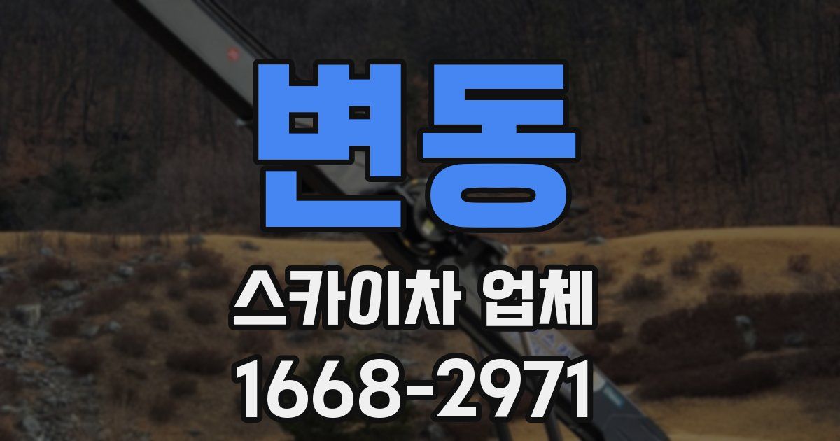 변동 스카이차 업체