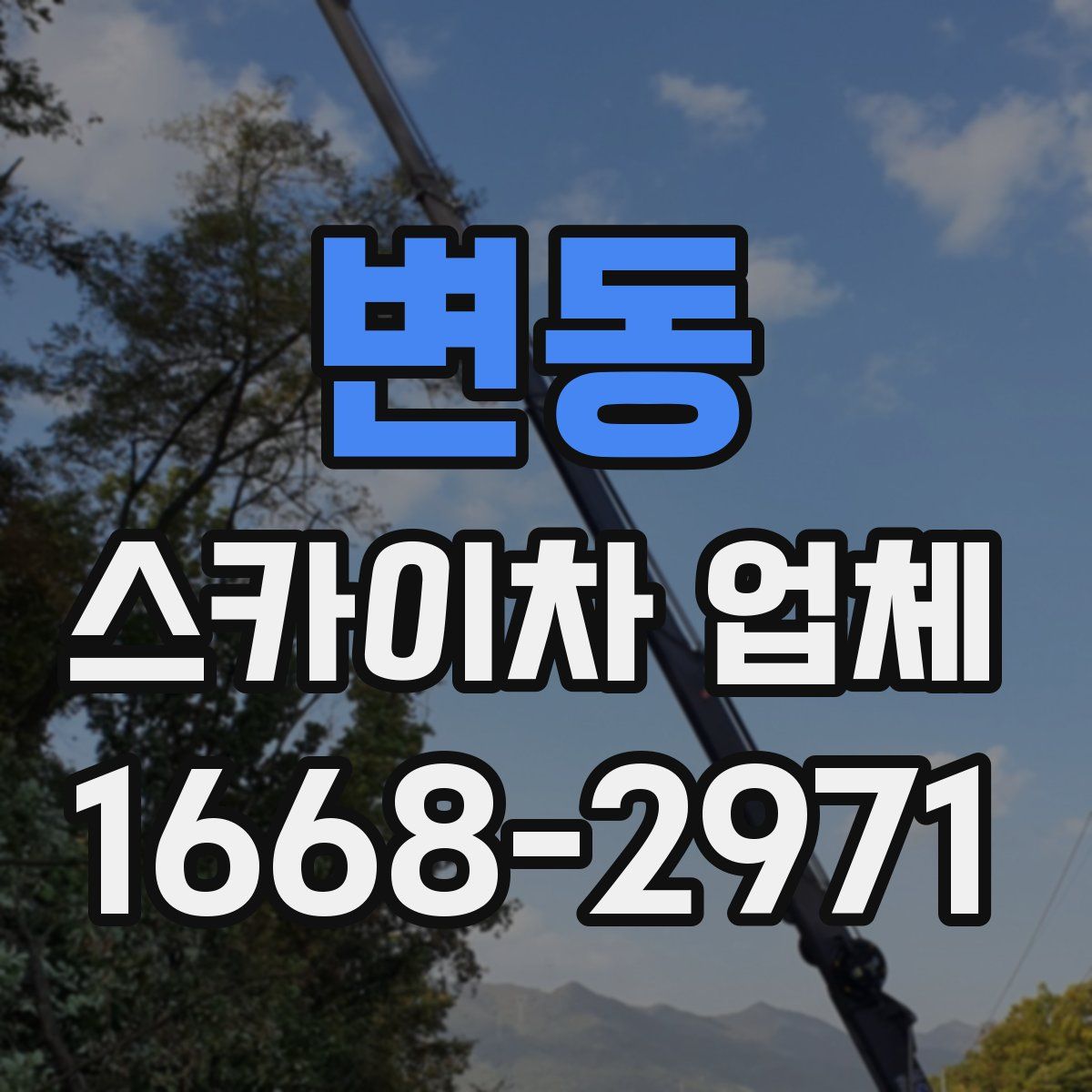 변동 스카이차 업체