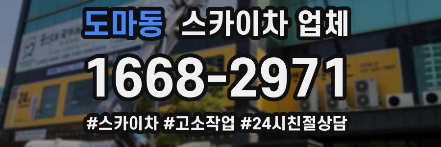 도마동 스카이차 업체