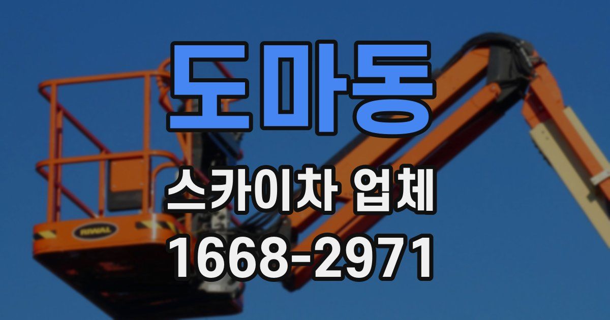 도마동 스카이차 업체