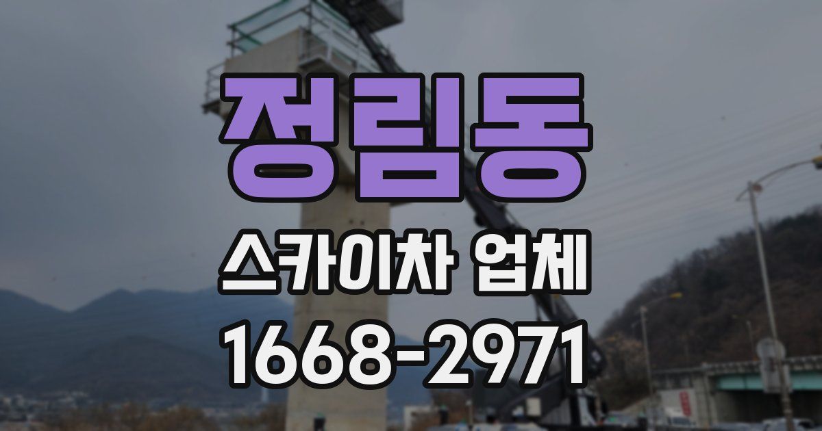 정림동 스카이차 업체