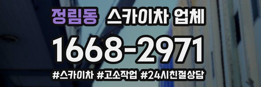 정림동 스카이차 업체