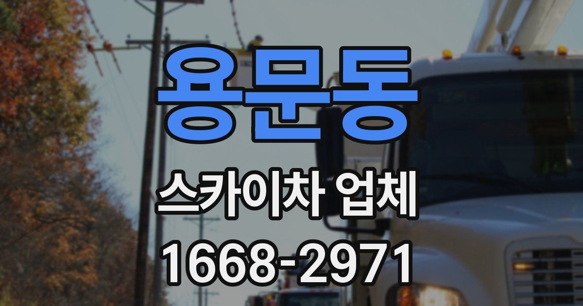 용문동 스카이차 업체