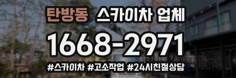 탄방동 스카이차 업체
