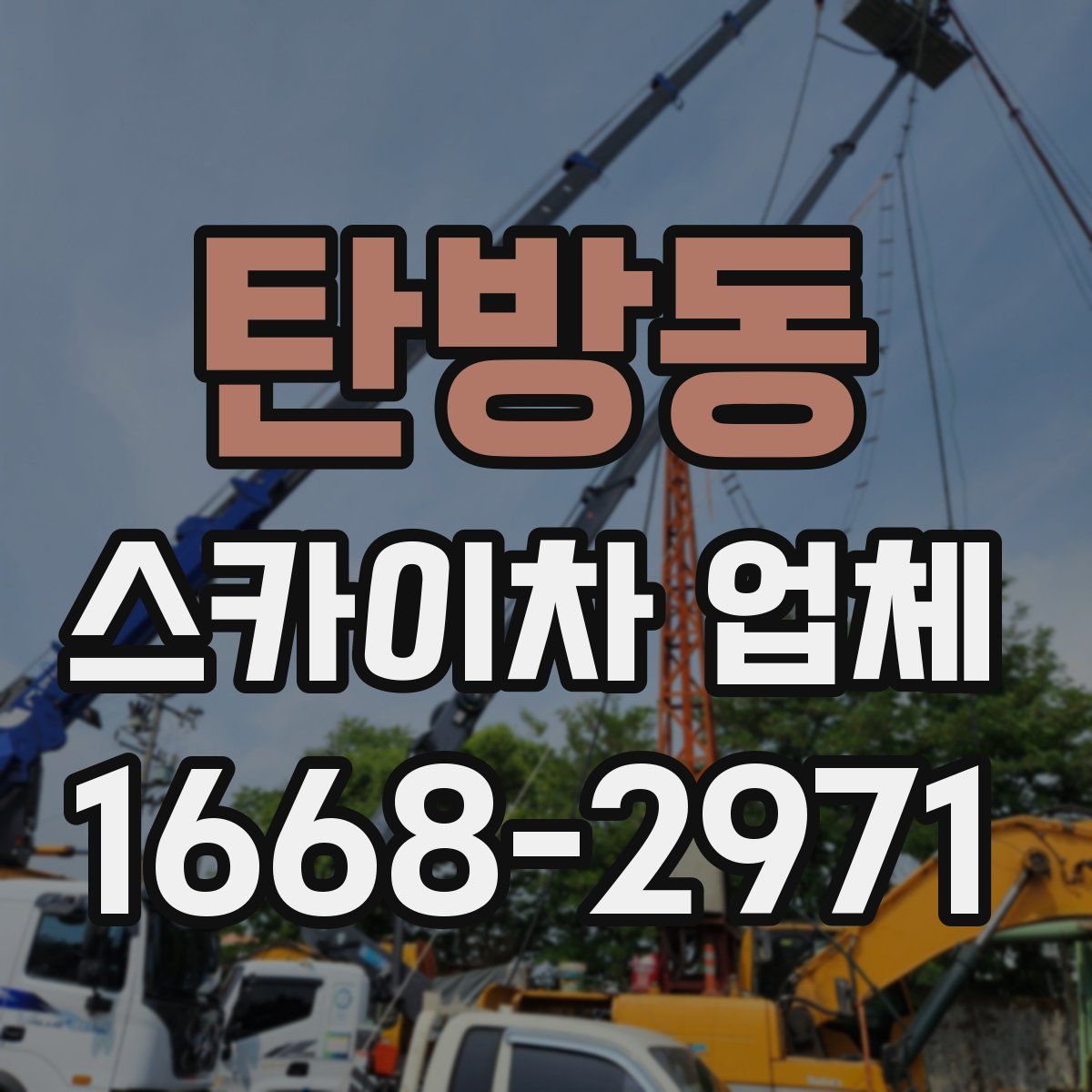 탄방동 스카이차 업체