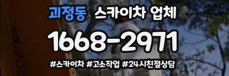 괴정동 스카이차 업체